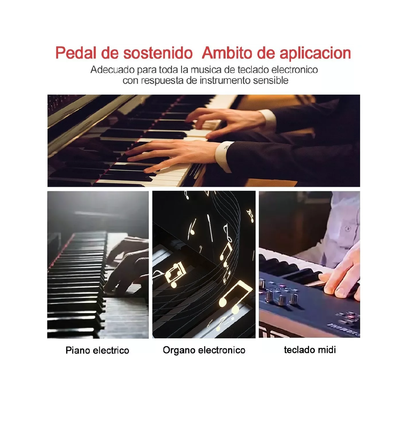 Foto 2 | Piano Teclado Sustain Pedal Para Casio Belug