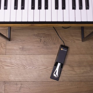 Foto 3 | Pedal Sustain M-audio Sp-2 Universal Para Teclados Midi - Venta Internacional.