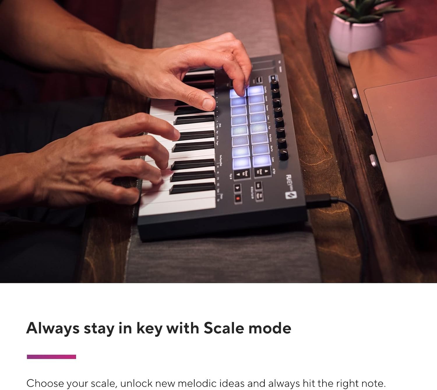 Foto 6 | Controlador De Teclado Midi Novation Flkey Mini Usb De 25 Teclas - Venta Internacional.