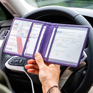 Foto 5 | Titular Del Seguro Y Registro Del Automóvil Canopus Purple - Venta Internacional.