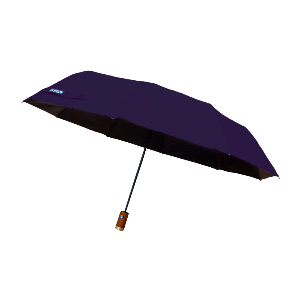 Sombrilla Automática Protección Uv Tela Impermeable 10 Varillas Dobles Resistente Color Azul