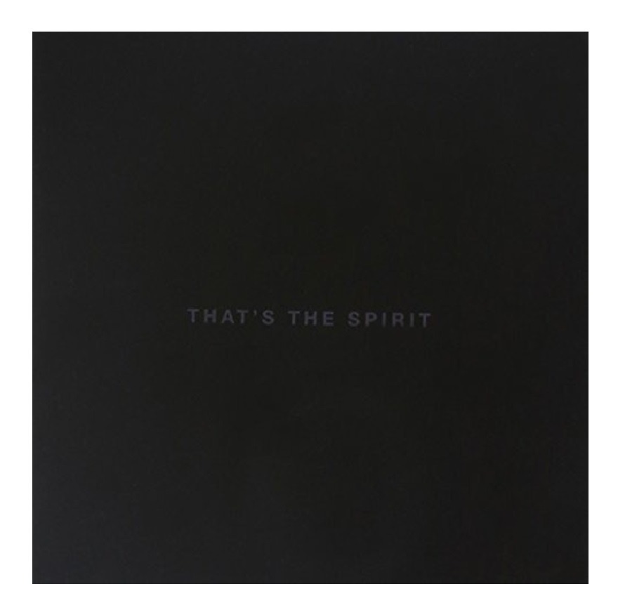 Foto 2 pulgar | Disco Bring Me The Horizon That's The Spirit