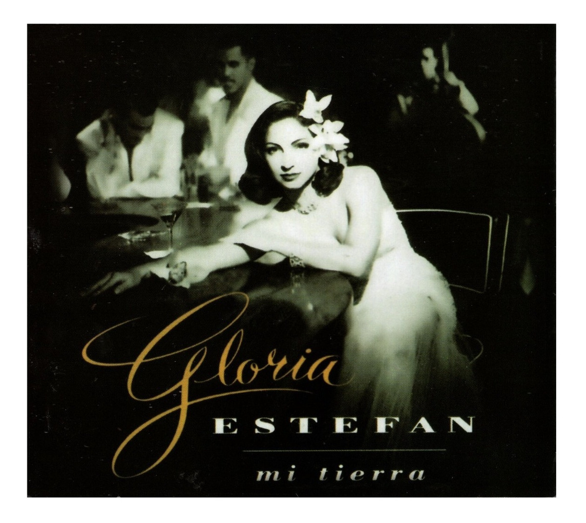 Disco Cd Gloria Estefan Mi Tierra