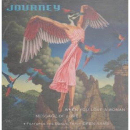 Foto 1 | Cd Sony Cuando Amas A Una Mujer/mensaje De Amor - Venta Internacional.