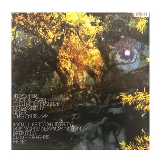 Foto 3 | Corinne Bailey Rae The Sea Rsd Lp Acetato Vinyl
