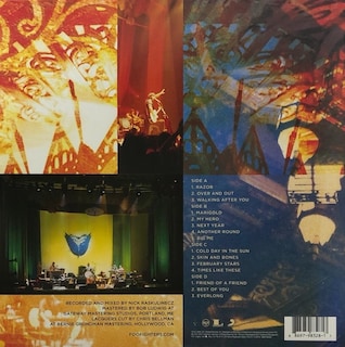 Foto 2 | Álbum Foo Fighters Skin And Bones 2 Lp Acetato Vinyl