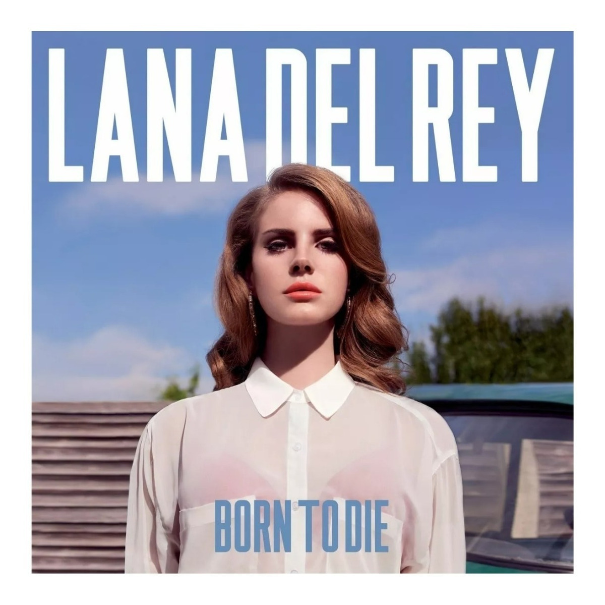 Foto 2 pulgar | Disco de Vinil Lana del Rey Born To Die Sony Music