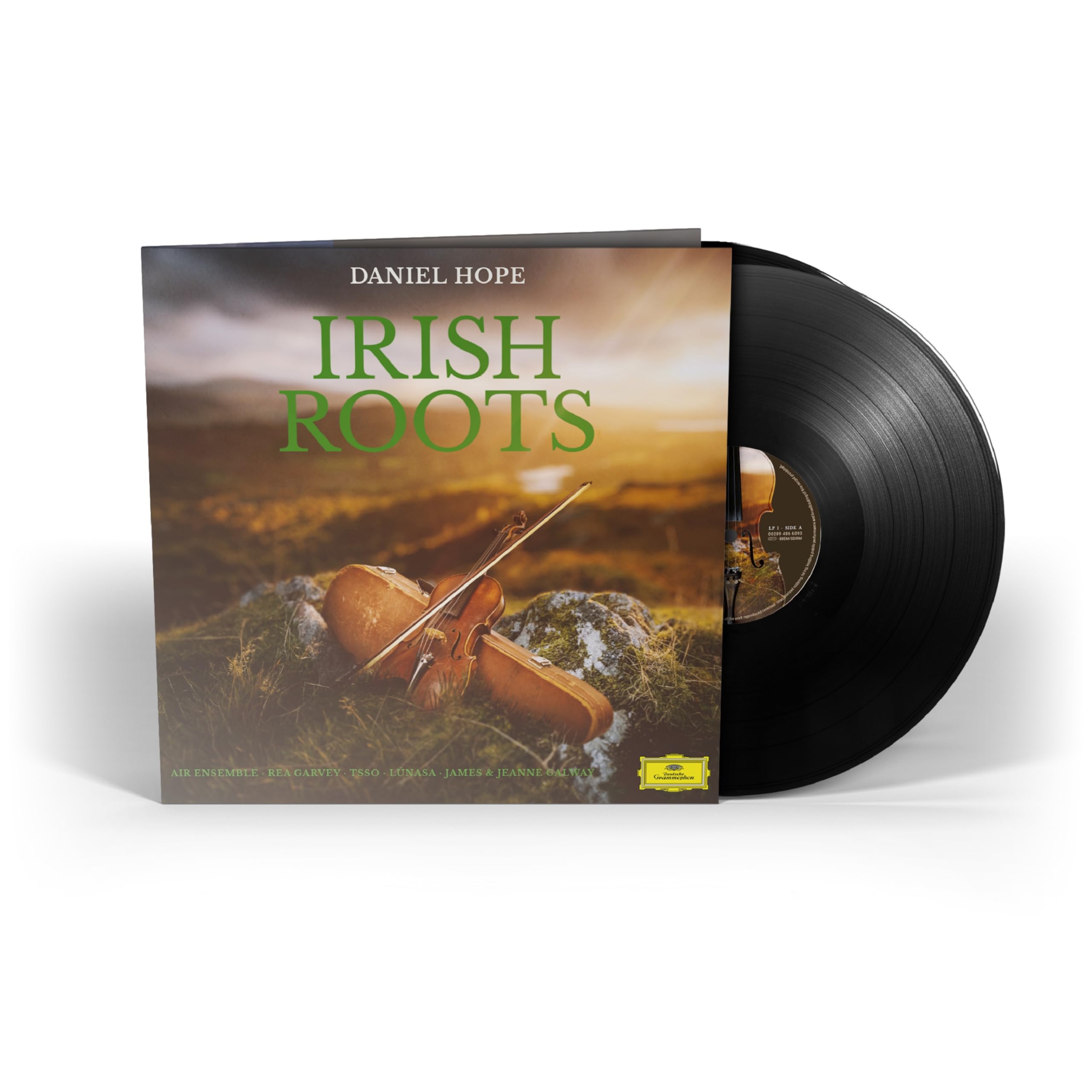 Vinilo Dolce & Gabbana Irish Roots [2 Lp] - Venta Internacional.