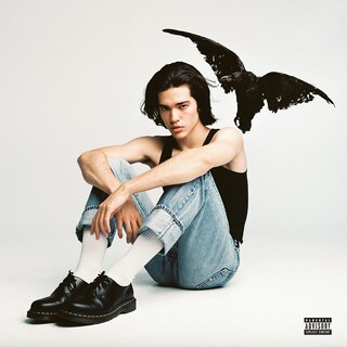 Foto 1 | Lp De Vinilo Republic Records Kid Krow De Conan Gray - Venta Internacional.