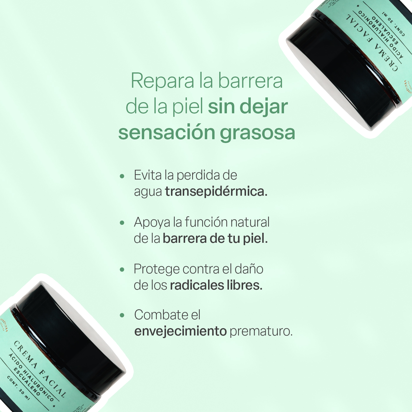 Foto 3 pulgar | Crema Facial Teia Cosméticos Hidratante Reparadora Ligera Con Escualeno + Ácido Hialurónico