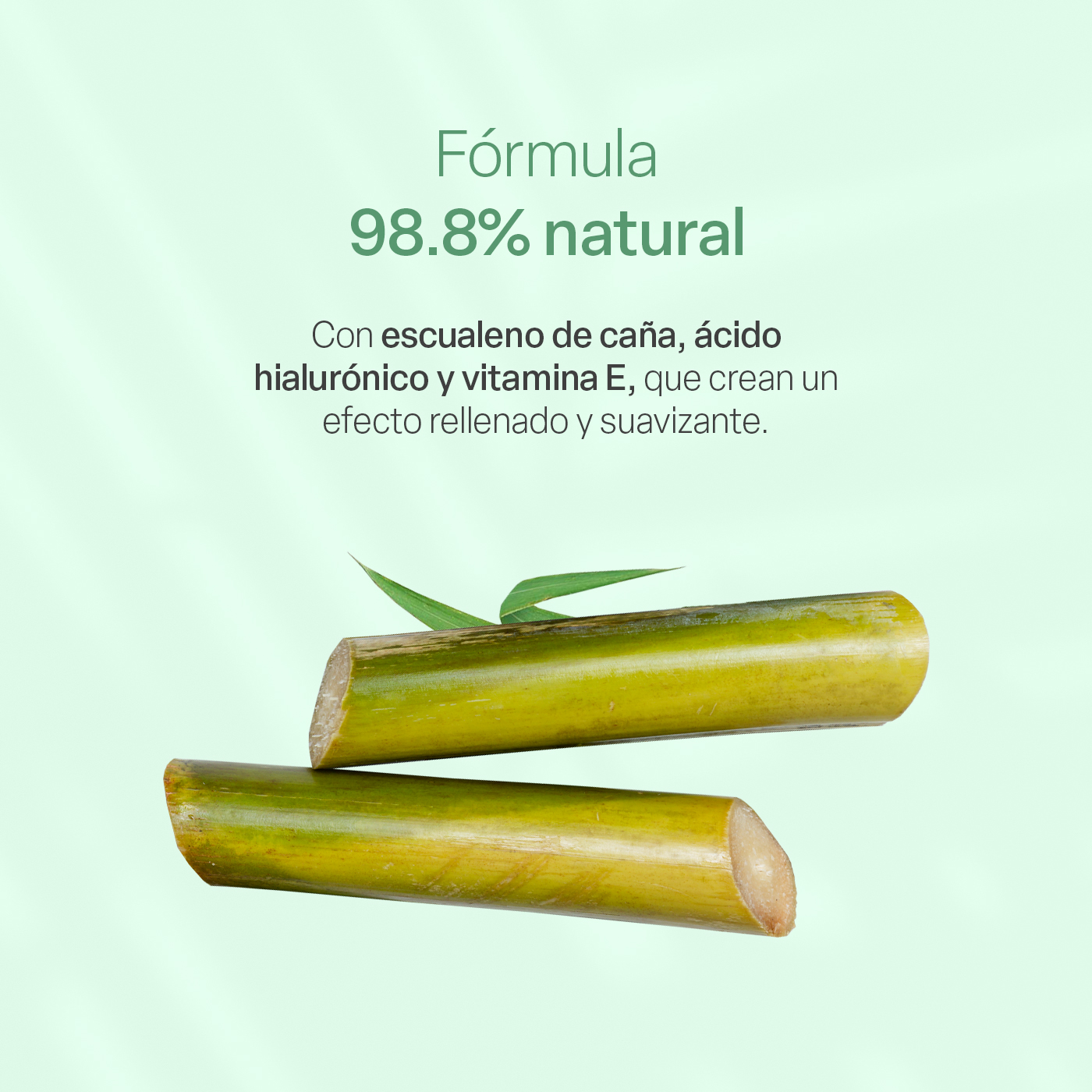 Foto 5 pulgar | Crema Facial Teia Cosméticos Hidratante Reparadora Ligera Con Escualeno + Ácido Hialurónico