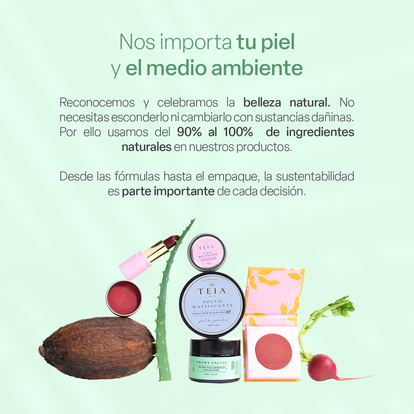 Foto 8 pulgar | Crema Facial Teia Cosméticos Hidratante Reparadora Ligera Con Escualeno + Ácido Hialurónico