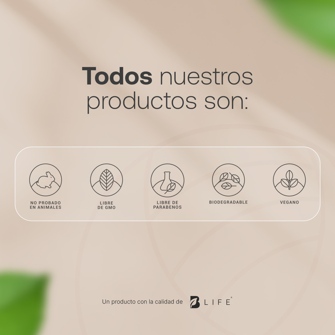Foto 6 pulgar | Crema Facial Hidratante De Noche Con 90 Ml. Enriquecida Con Retinol Y Ácido Hialurónico. Night Cream B Life.