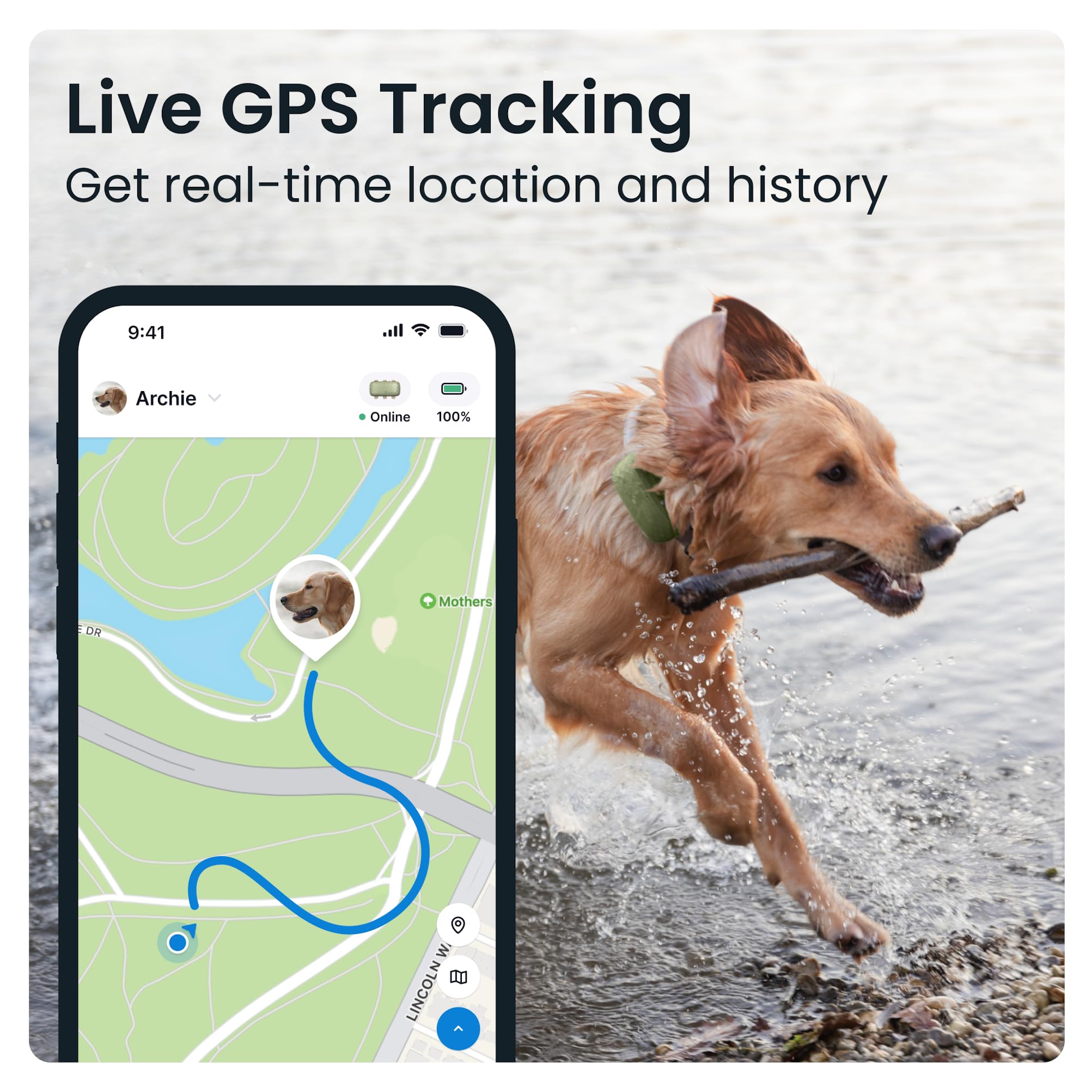 Foto 4 pulgar | Localizador Gps Tractive Xl Para Perros De Más De 23 Kg Con Control De Salud - Venta Internacional.