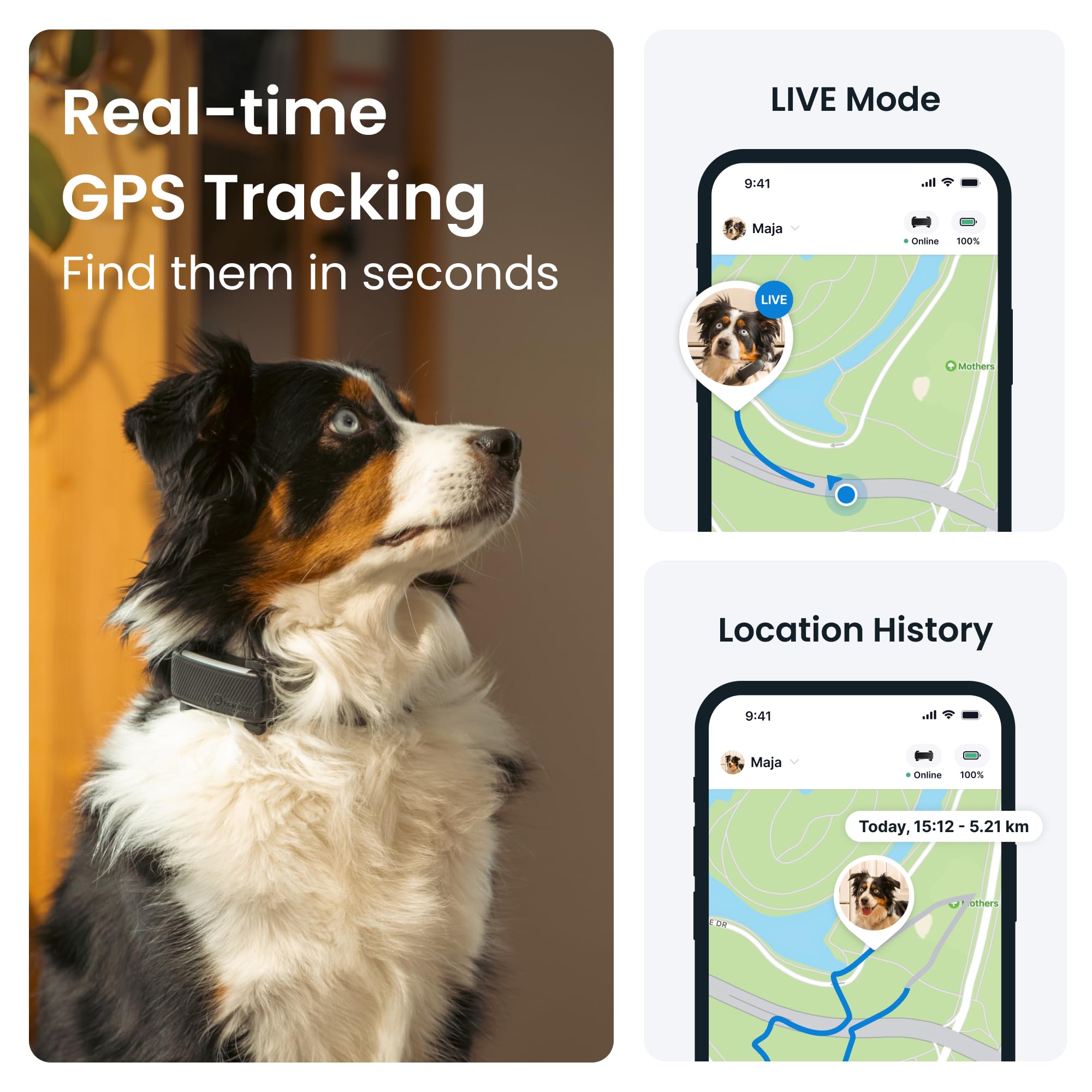 Foto 2 | Gps Dog Tracker Tractive, Seguimiento De Ubicación En Tiempo Real, Negro - Venta Internacional.