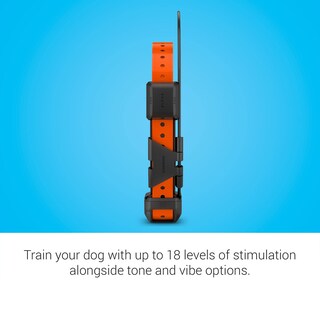 Foto 4 | Collar Gps De Rastreo Y Adiestramiento De Perros Garmin Alpha Tt 25 - Venta Internacional.