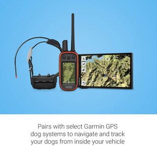 Foto 3 | Rastreo De Perros Y Navegador Gps Garmin Drivetrack 71 - Venta Internacional.