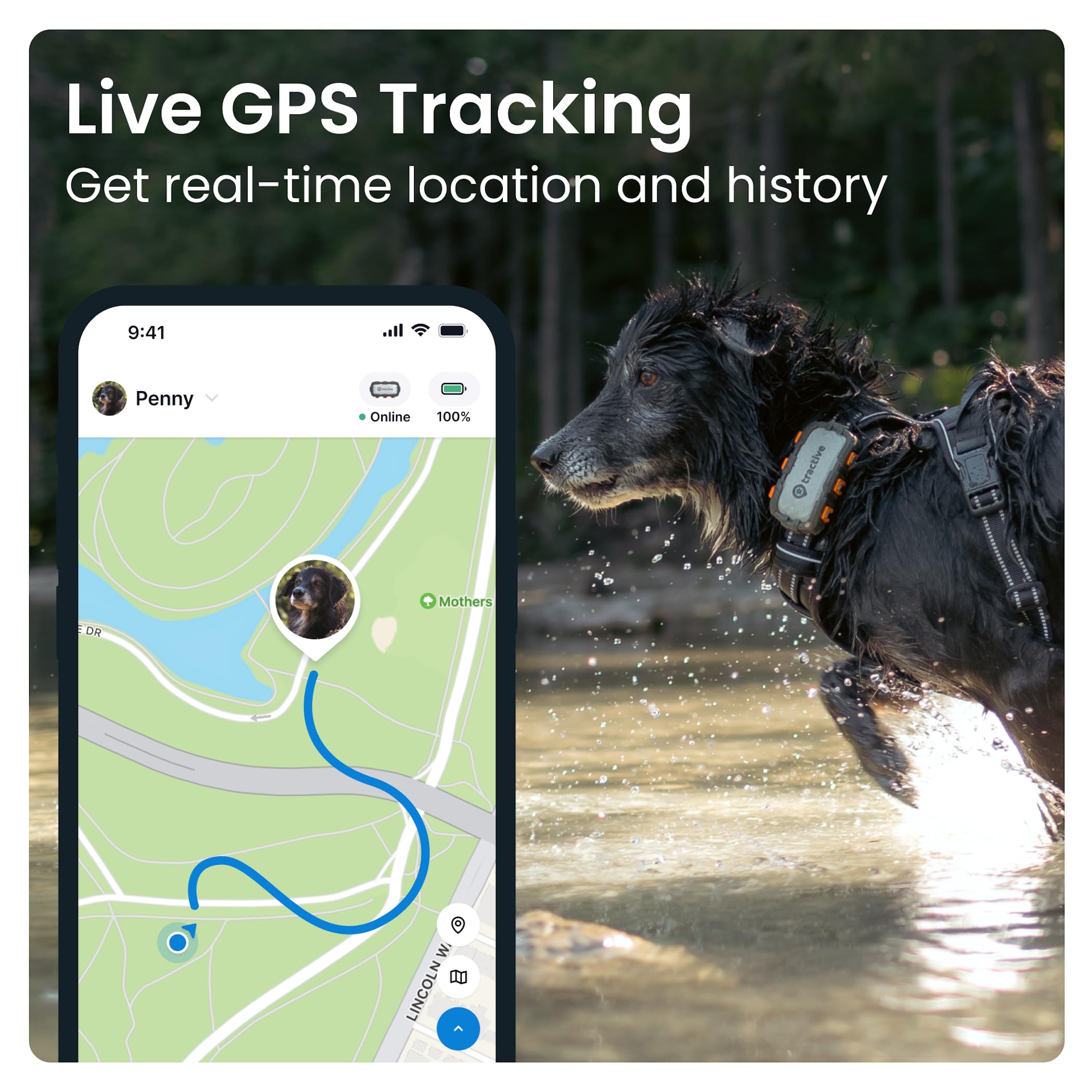 Foto 3 pulgar | Localizador Gps Tractive Xl Para Perros (más De 23 Kg) Con Control De Salud - Venta Internacional.