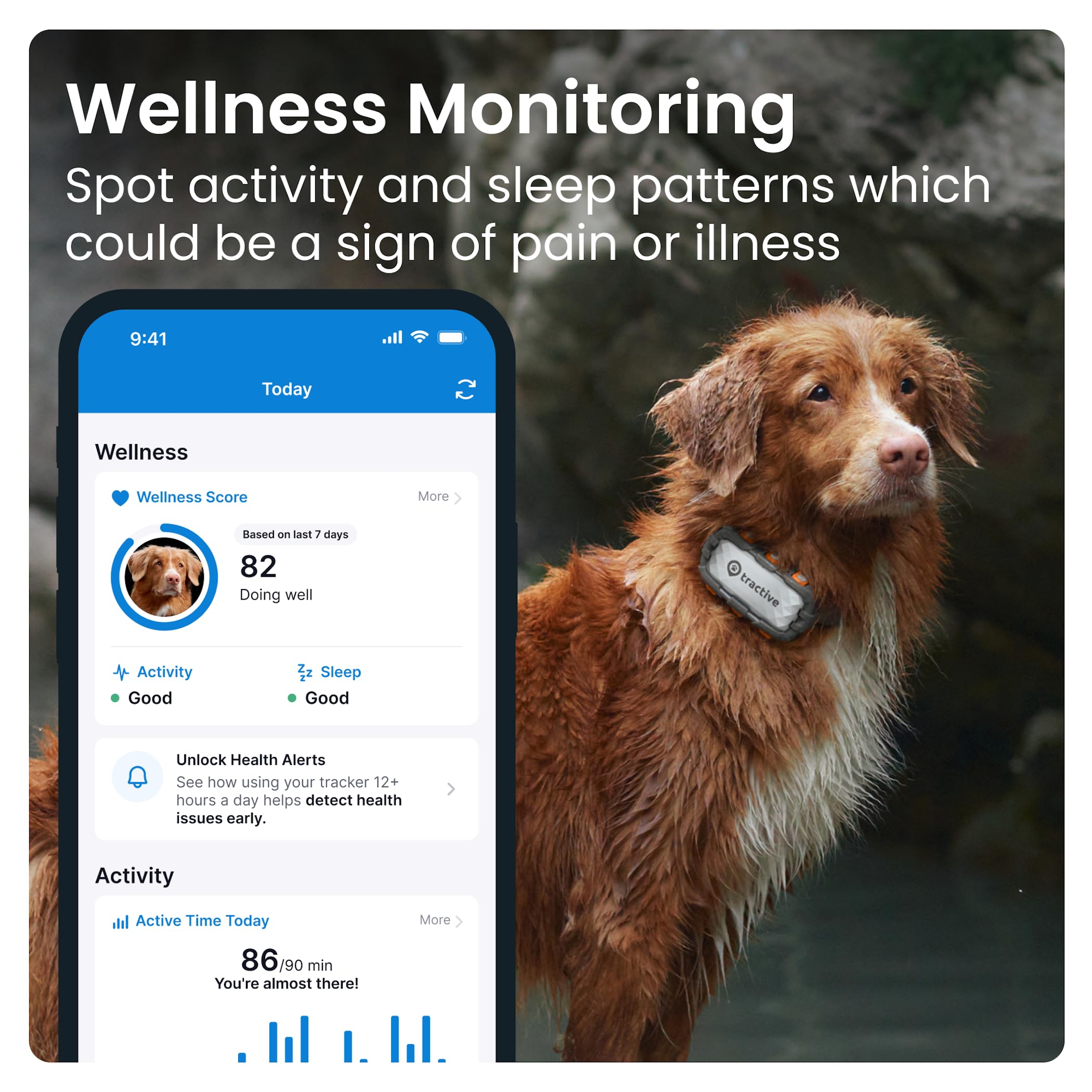 Foto 4 pulgar | Localizador Gps Tractive Xl Para Perros (más De 23 Kg) Con Control De Salud - Venta Internacional.