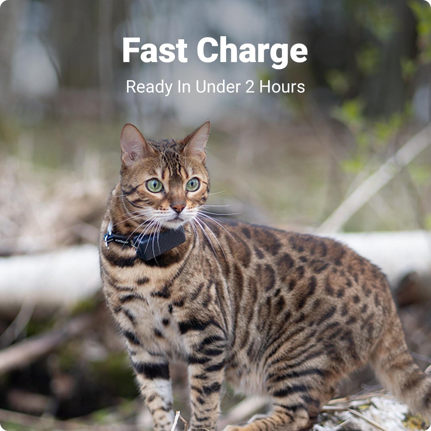Foto 4 | Cable De Carga Tractive Gps Cat Mini - Venta Internacional.