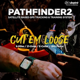 Foto 2 | Collar De Adiestramiento De Perros Con Gps Dogtra Pathfinder 2 Para Tamaño Mediano Y Grande - Venta Internacional.