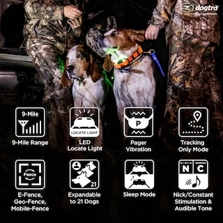 Foto 4 | Collar De Adiestramiento De Perros Con Gps Dogtra Pathfinder 2 Para Tamaño Mediano Y Grande - Venta Internacional.