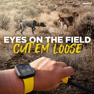 Foto 6 | Collar De Adiestramiento De Perros Con Gps Dogtra Pathfinder 2 Para Tamaño Mediano Y Grande - Venta Internacional.