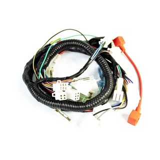 Foto 1 | Arnes Completo Ft125 2005