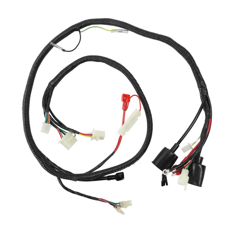 Foto 2 | Arnés Eléctrico Italika CS 125 (12)/ CS 125 Led (13-20)/ DS 125 (17-20)/ EX 125-T (05-18)