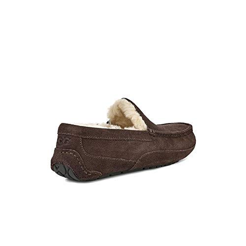 Foto 5 pulgar | Pantuflas Ugg Ascot Espresso Para Hombre, Resistentes Al Agua, De Gamuza 7 - Venta Internacional.