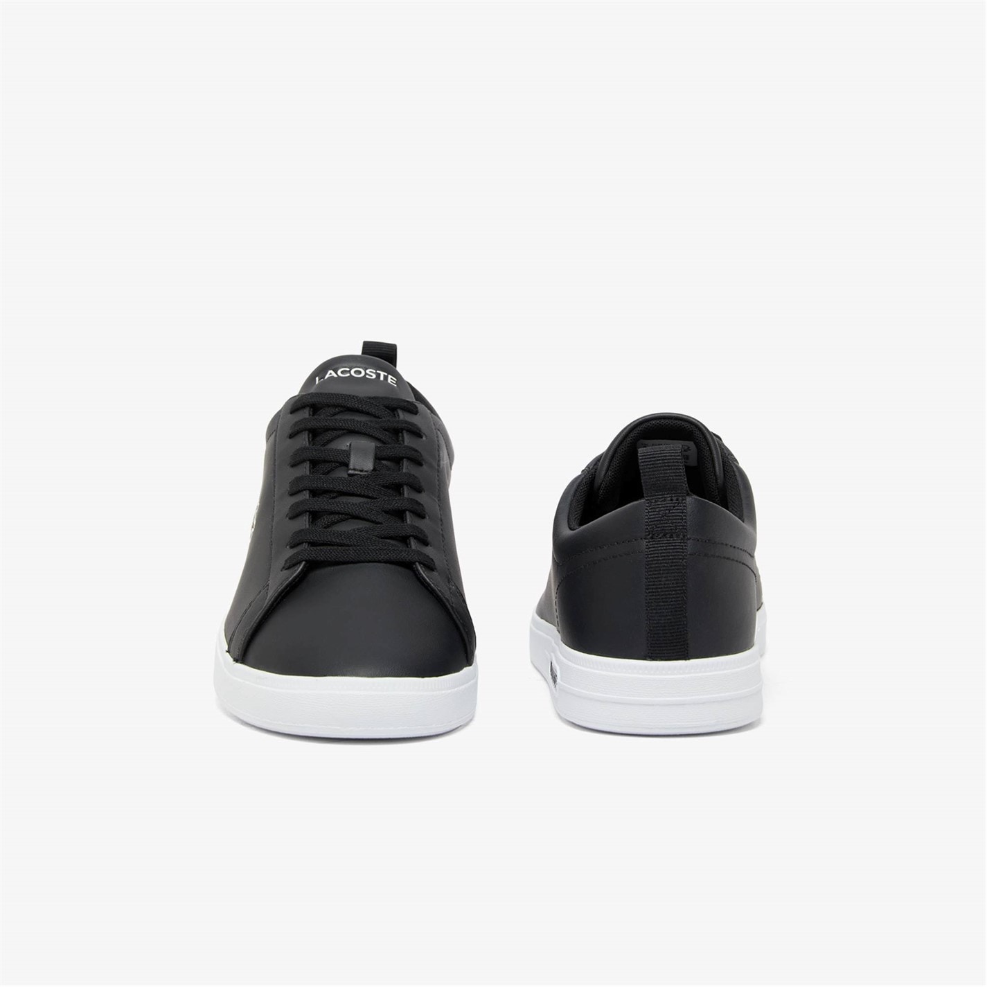 Foto 6 pulgar | Tenis/sneakers Lacoste Court Base Negro Hombre