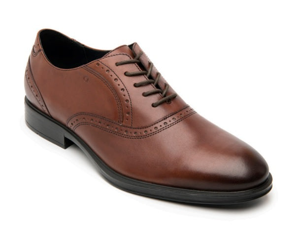 Zapatos Quirelli 701508 Vino para Hombre