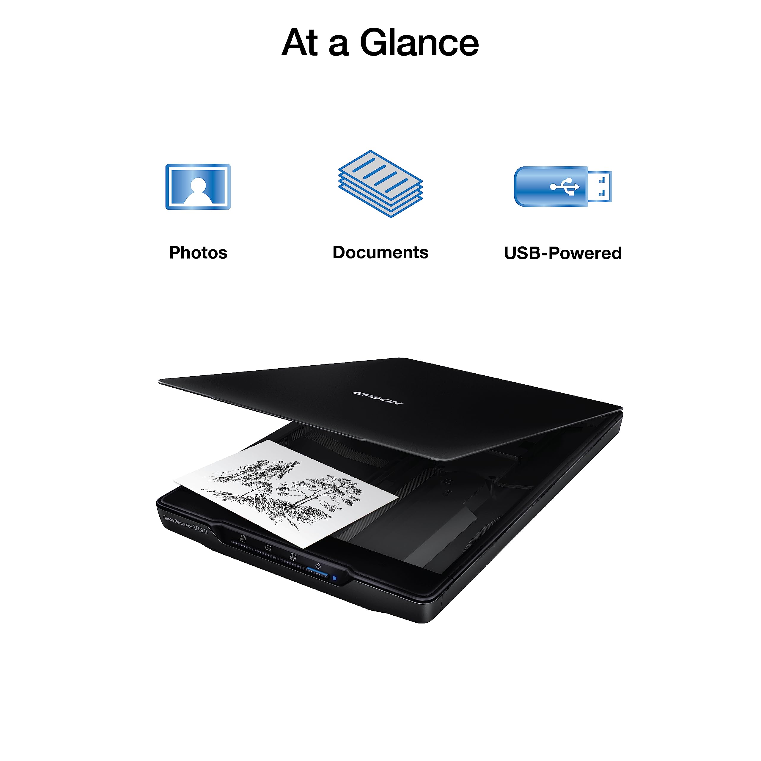 Foto 2 | Escáner Epson Perfection V19 Ii Color Photo 4800 Dpi Usb - Venta Internacional.