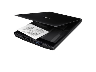 Foto 7 | Escáner Epson Perfection V19 Ii Color Photo 4800 Dpi Usb - Venta Internacional.
