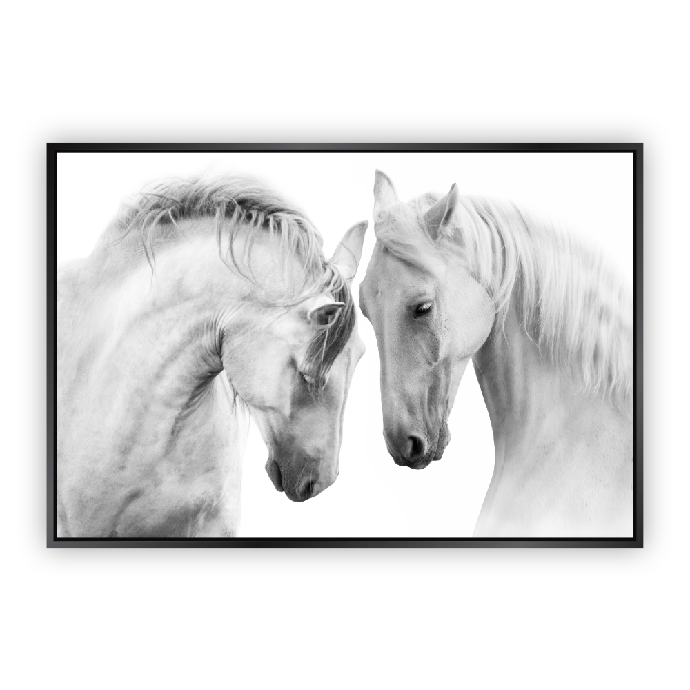 Cuadro Canvas Revolution Caballos Blancos Conectando Marco color Negro