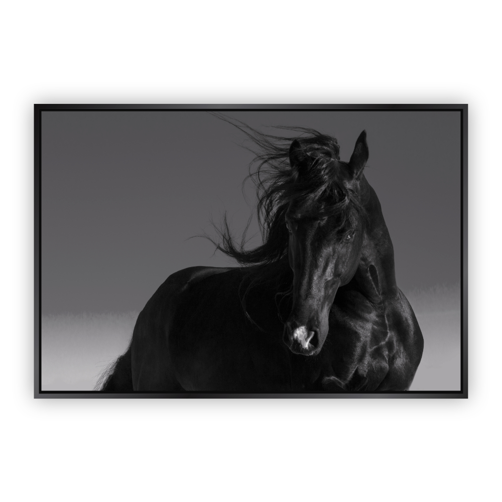 Cuadro Canvas Revolution de Caballo Negro con Fondo Gris