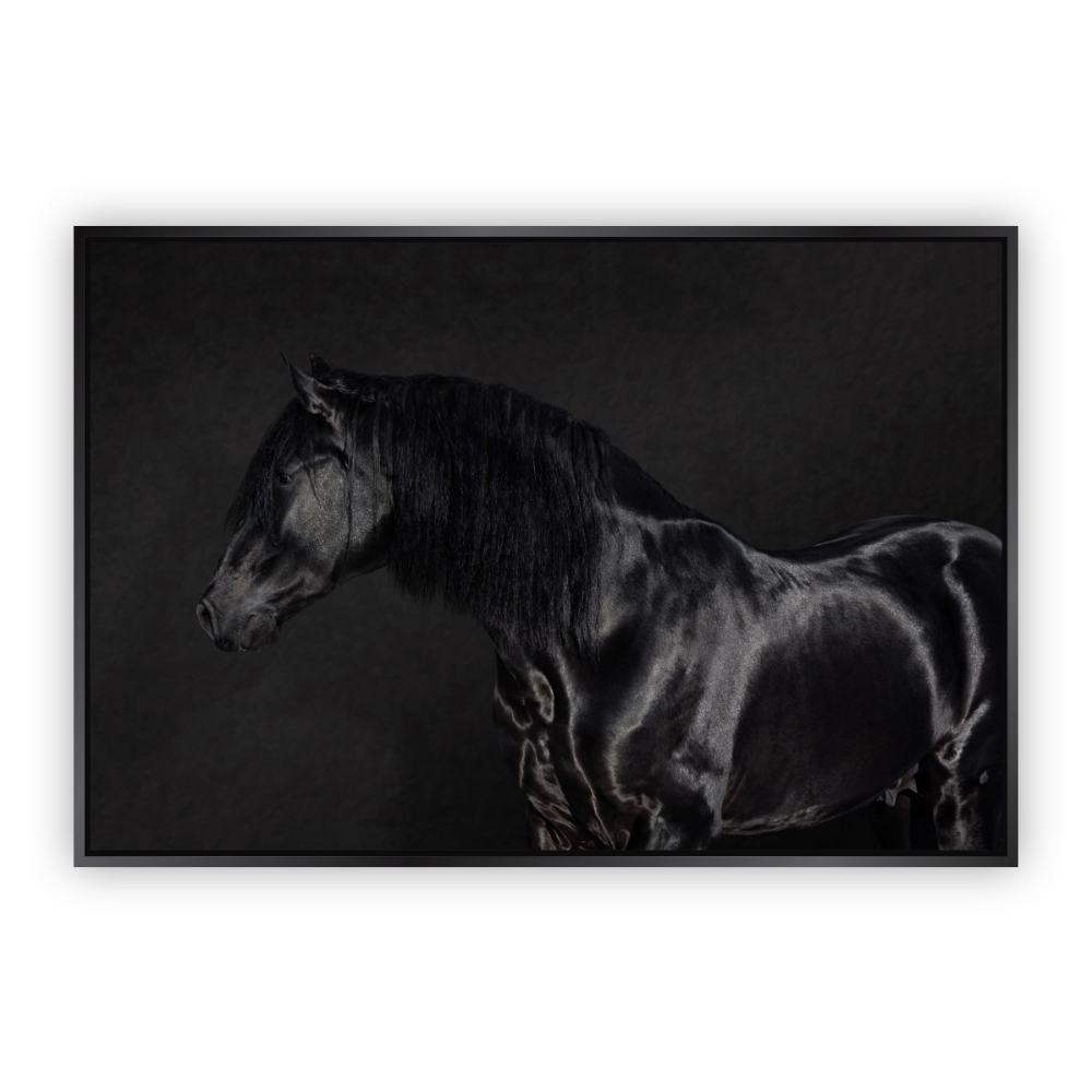 Cuadro Canvas Revolution Caballos Pura Sangre Marco color Negro