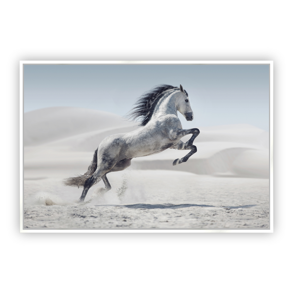 Cuadro Canvas Revolution Caballo Galopando Desierto Marco color Blanco