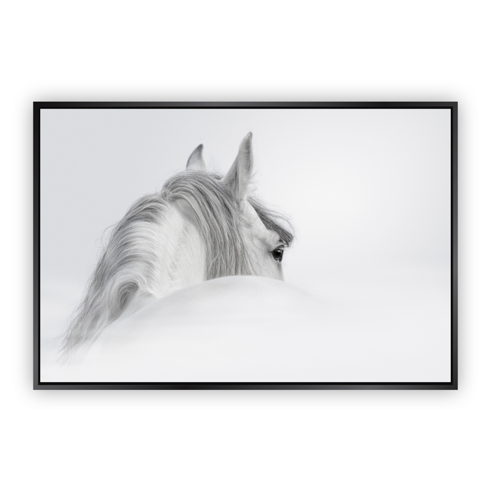 Cuadro Canvas Revolution de Caballo Blanco con Marco Negro