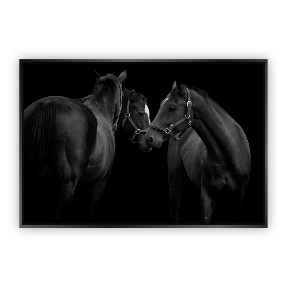 Foto 1 | Cuadro Canvas Revolution Caballos Negros Conectando Marco color Negro