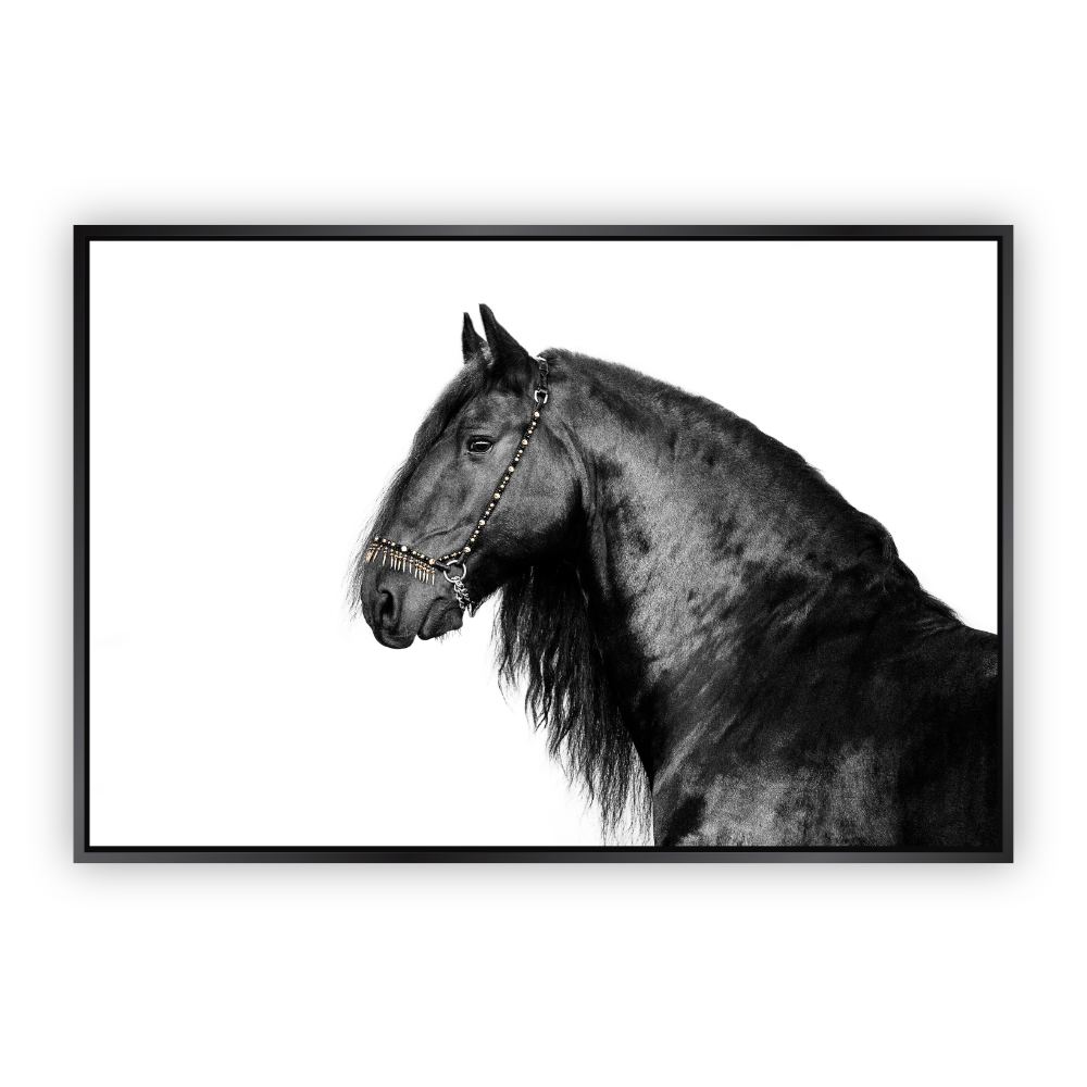 Foto 1 | Cuadro Canvas Revolution Caballo Negro Fondo Blanco con Marco color Negro