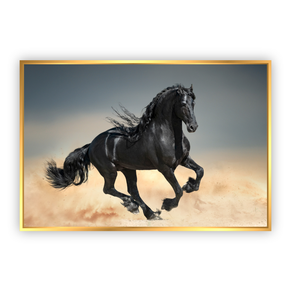 Cuadro Canvas Revolution Caballo Negro Galopando Marco color Dorado