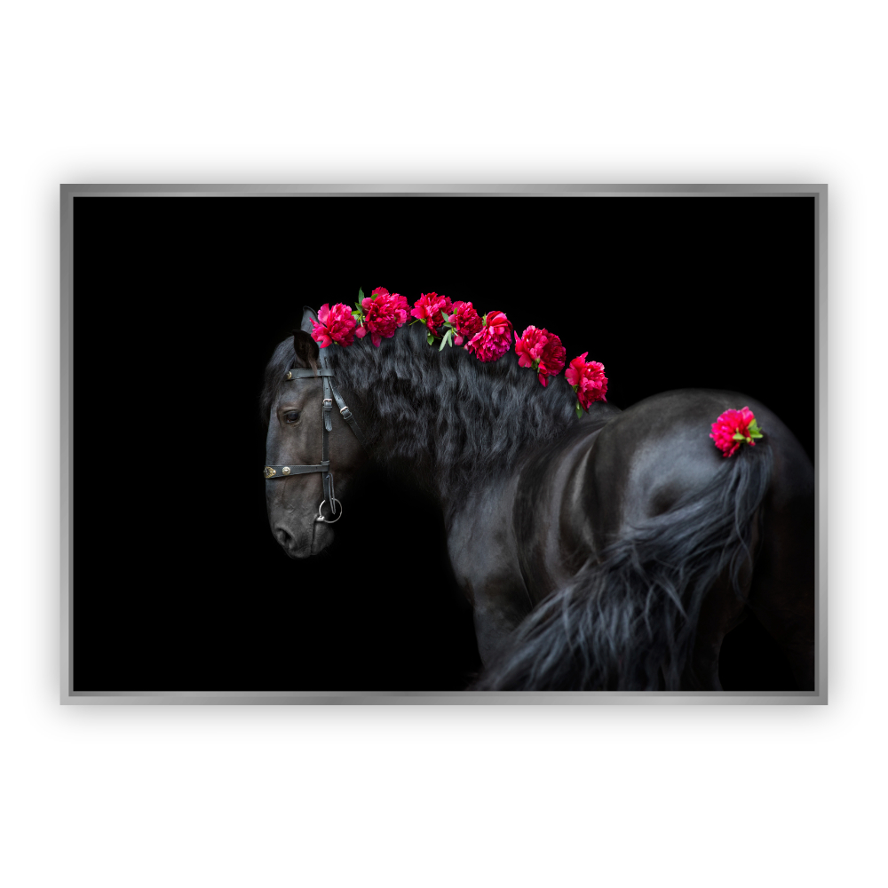 Cuadro Canvas Revolution Caballo Negro con Rosas Marco color Plateado