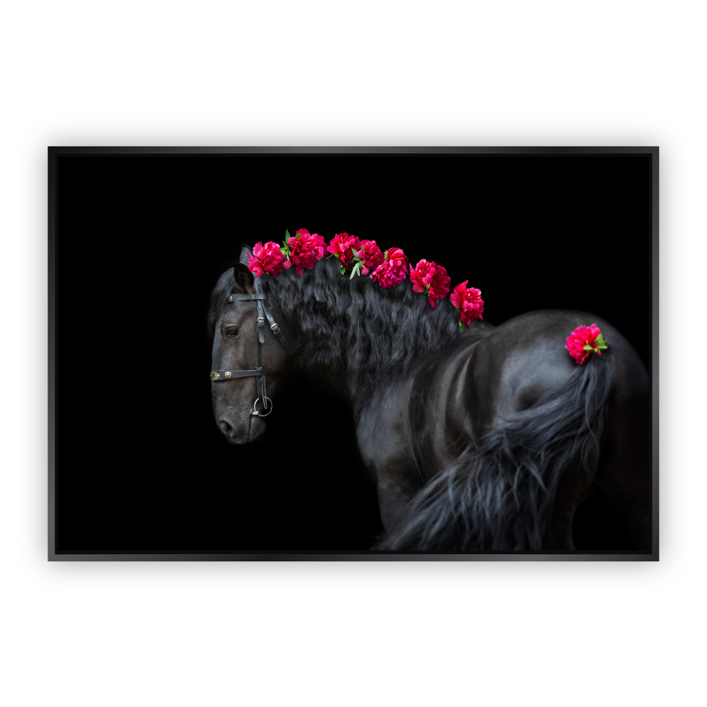 Cuadro Canvas Revolution Caballo Negro con Rosas Marco color Negro