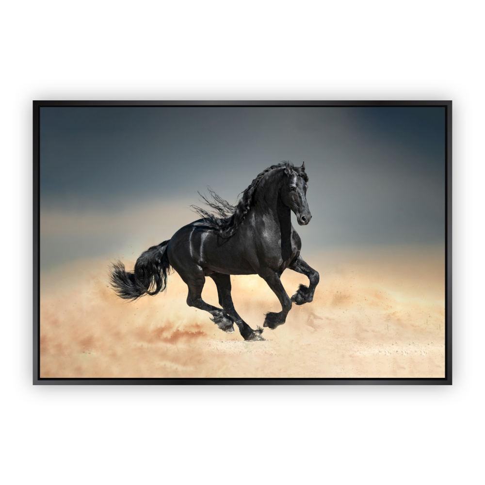 Cuadro Canvas Revolution Caballo Negro Galopando Marco color Negro