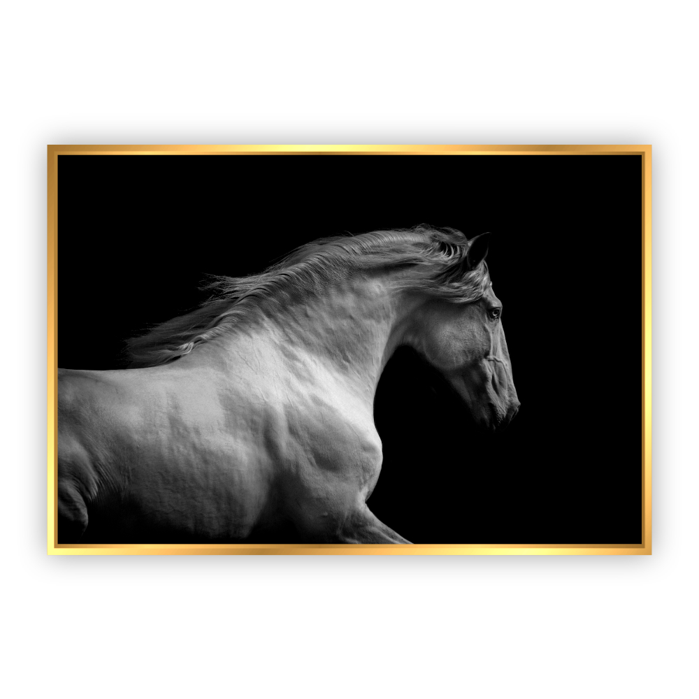 Cuadro Canvas Revolution Retrato Caballo Blanco Marco color Dorado