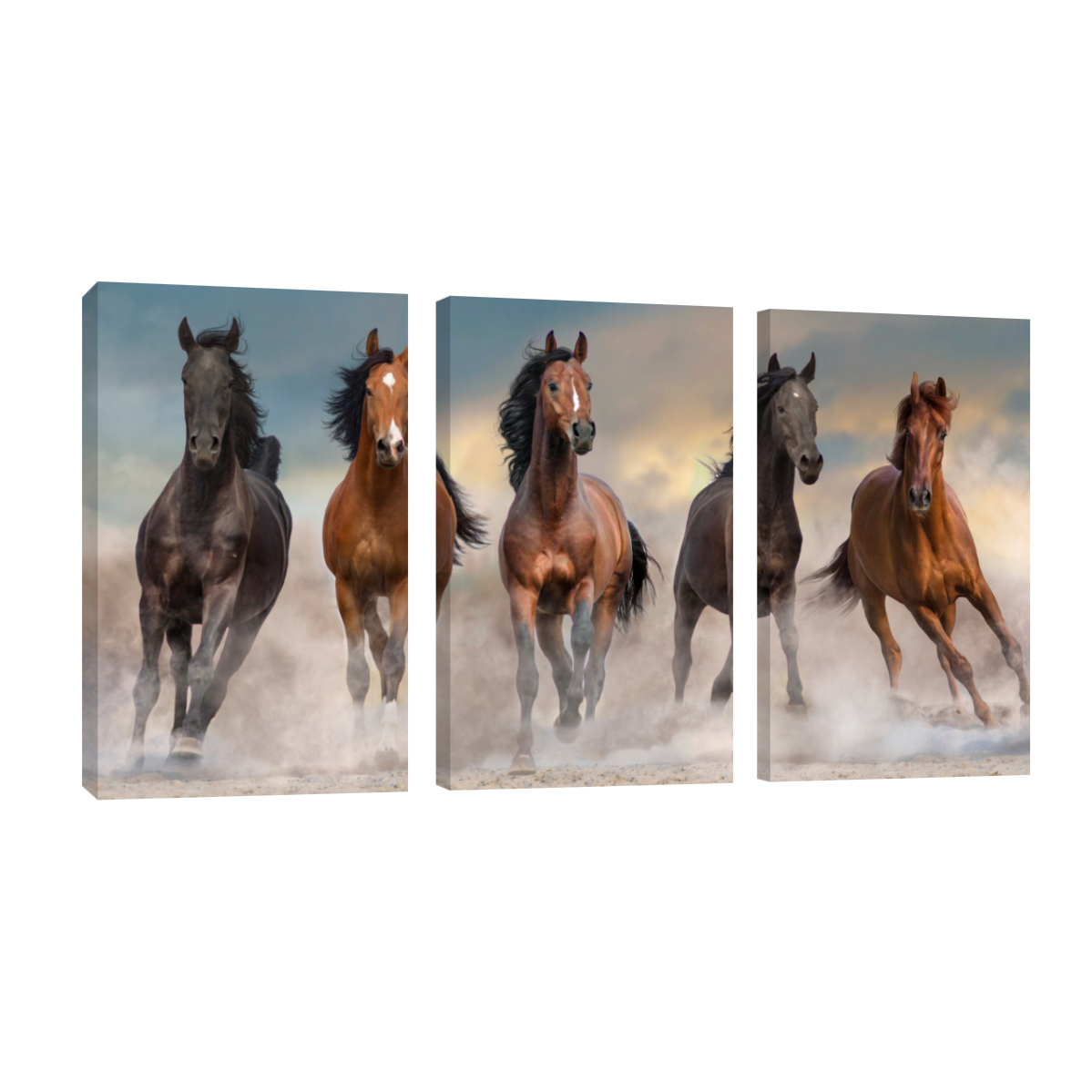 Cuadro Canvas Revolution Tríptico Vertical Manada De Caballos Set De 3 Piezas 25 x 38 cm c/u