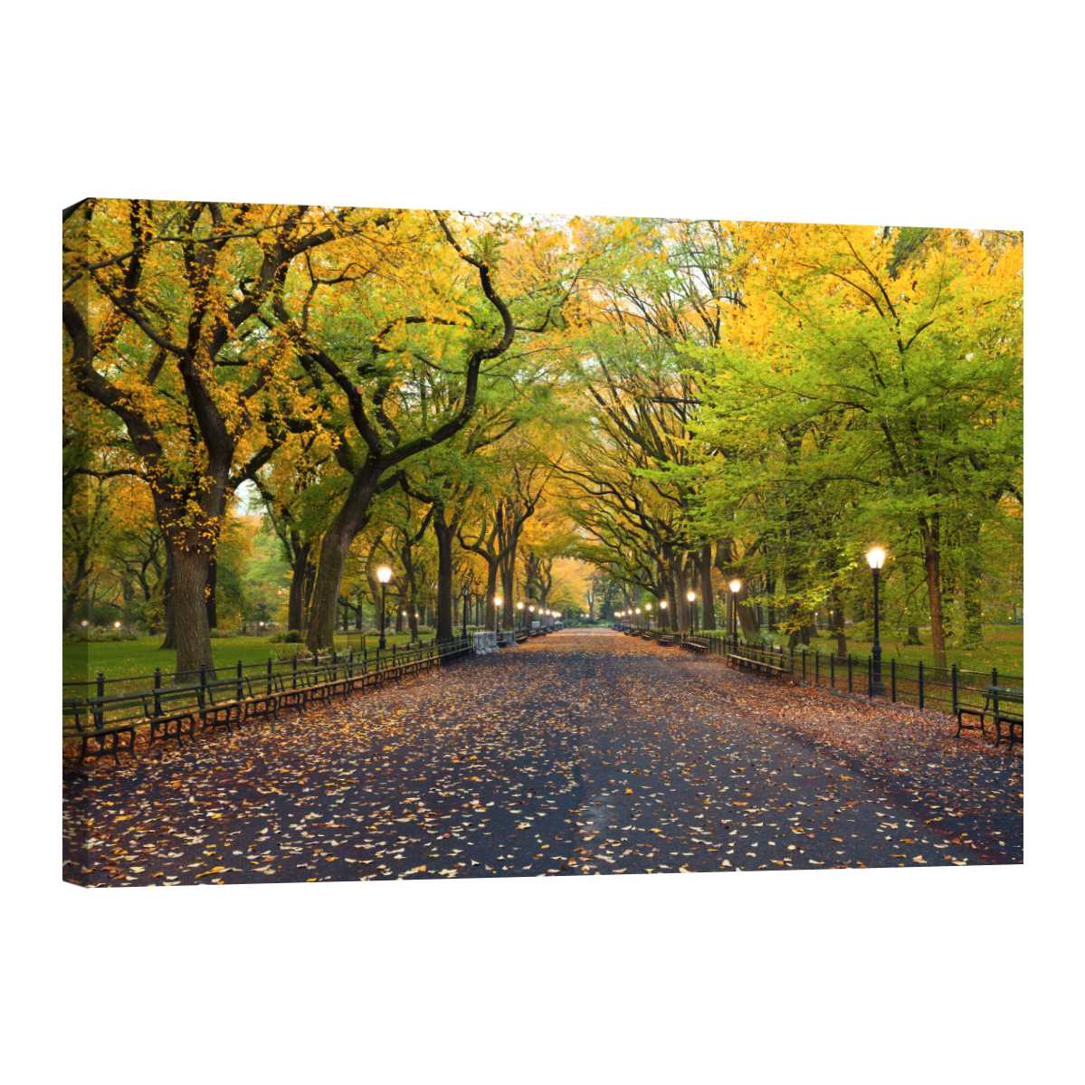 Cuadro Canvas Revolution 90 x 60 Nueva York Central Park en Otoño Rectangular