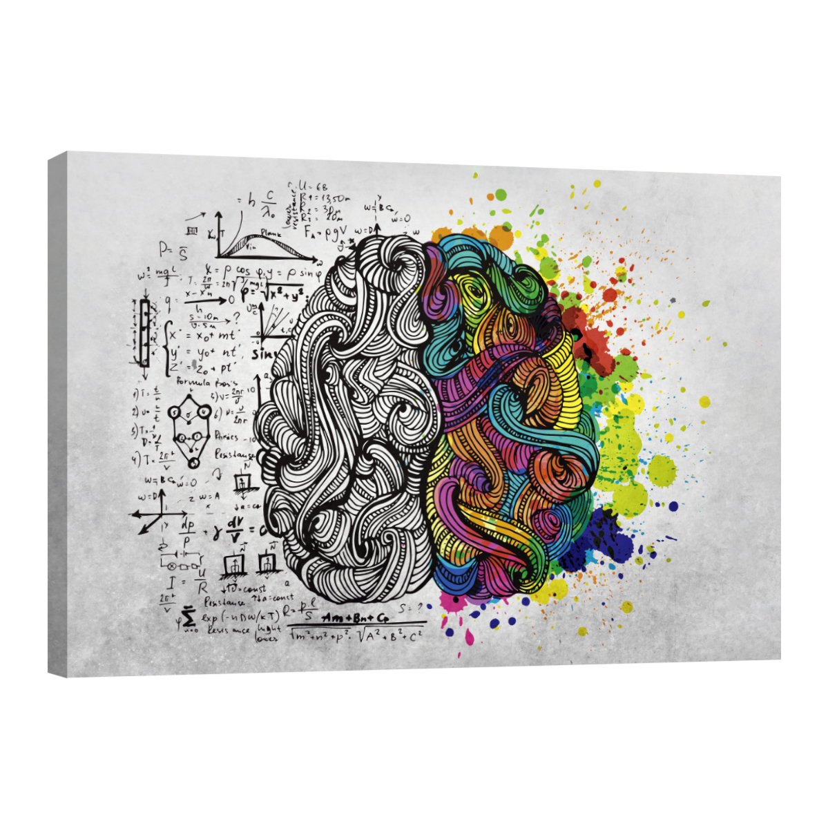 Cuadro Canvas Revolution Esquema Cerebro Colores Rectangular 90 x 60