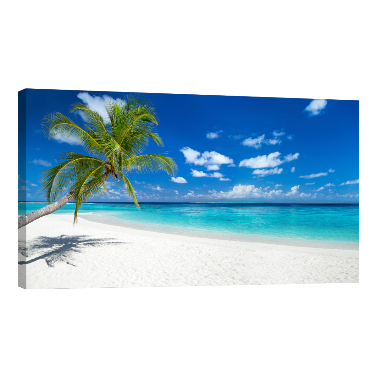 Cuadro Canvas Revolution Playa Paraíso Tropical 120 x 60 cm